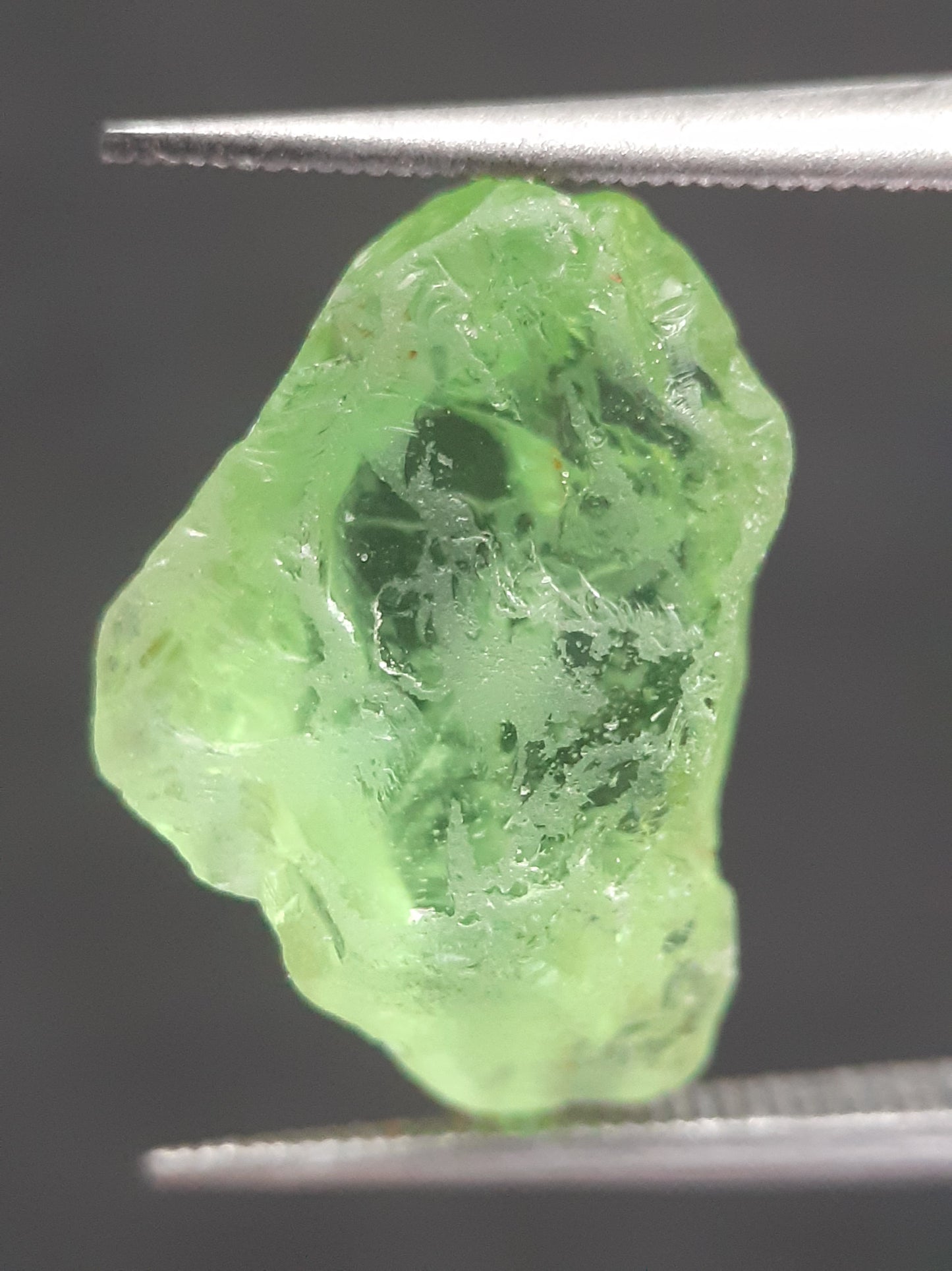 Natural Green Peridot - 6.589 ct - rough gemstone - for faceting - certified natural - Natural Gems Belgium