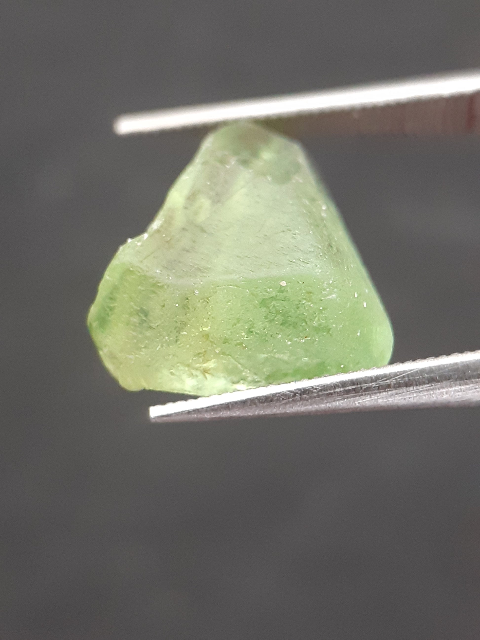 Natural Green Peridot - 5.754 ct - rough gemstone - for faceting - certified natural - Natural Gems Belgium