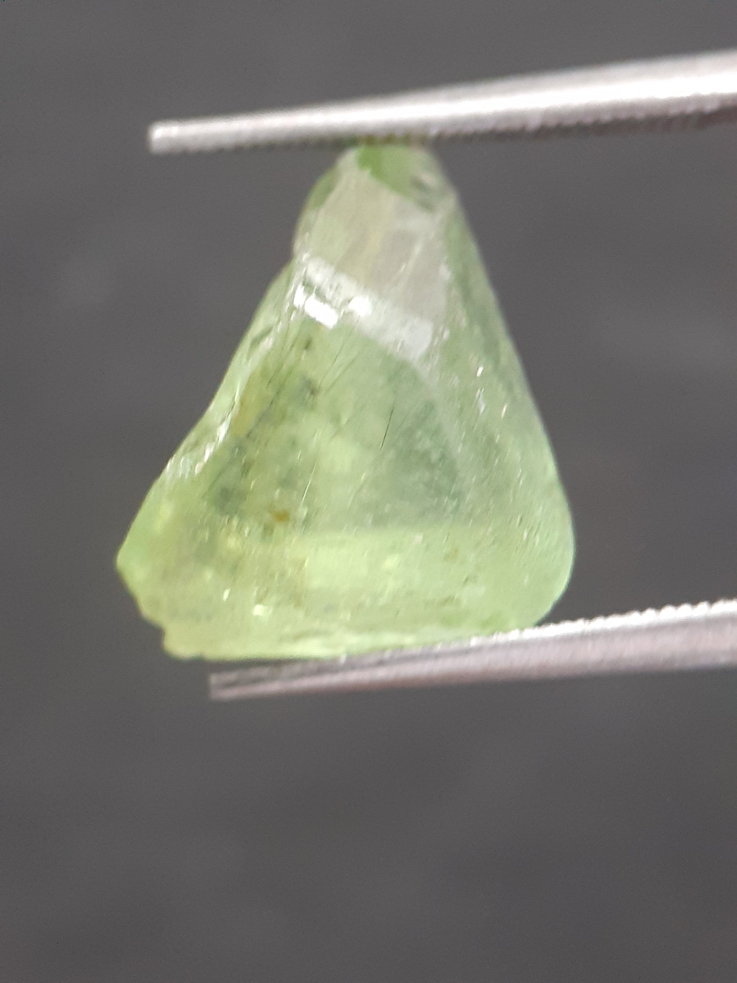 Natural Green Peridot - 5.754 ct - rough gemstone - for faceting - certified natural - Natural Gems Belgium