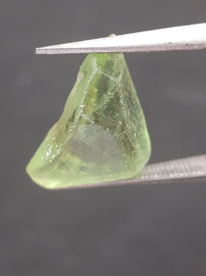 Natural Green Peridot - 5.754 ct - rough gemstone - for faceting - certified natural - Natural Gems Belgium