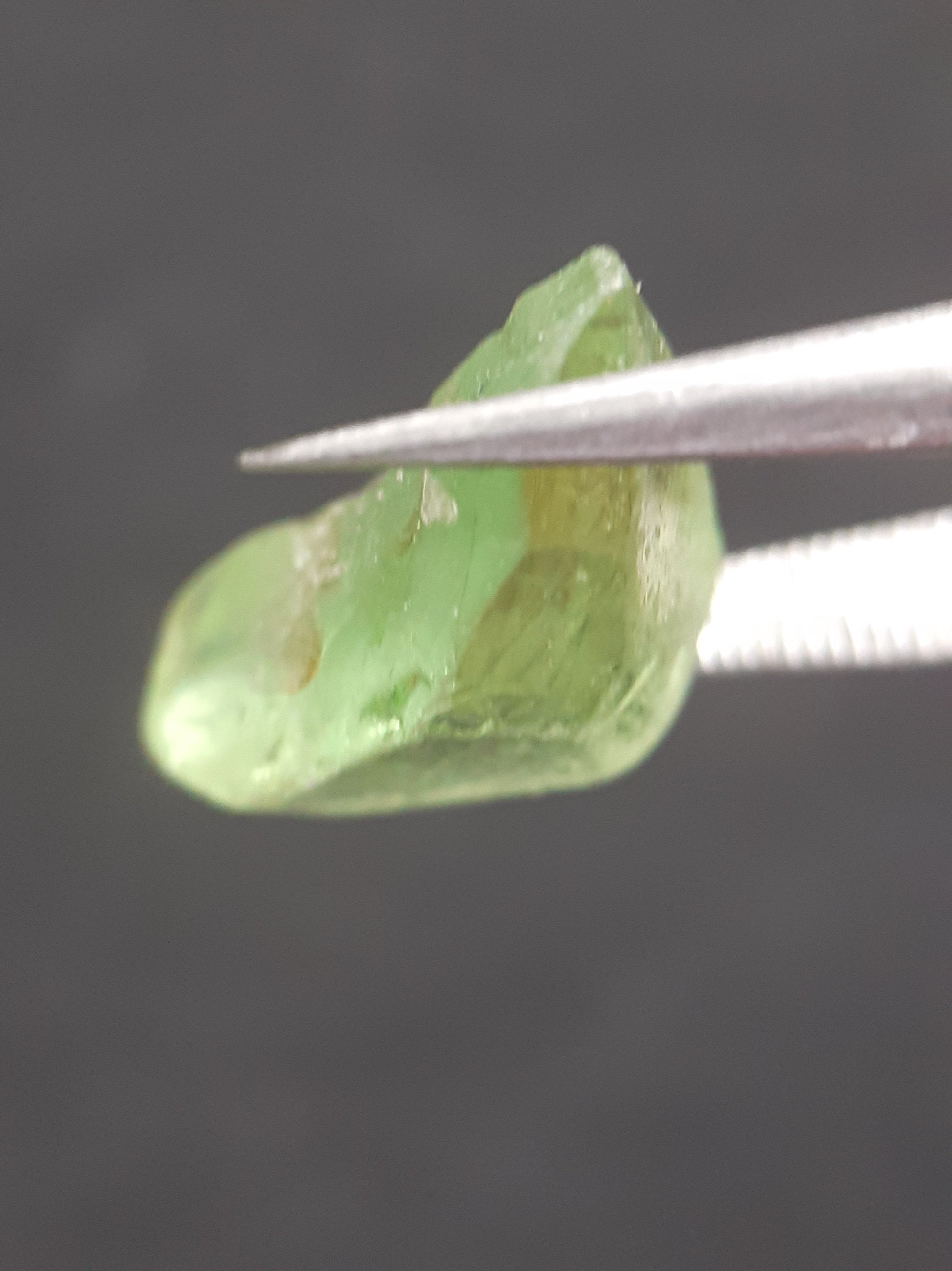 Natural Green Peridot - 5.754 ct - rough gemstone - for faceting - certified natural - Natural Gems Belgium