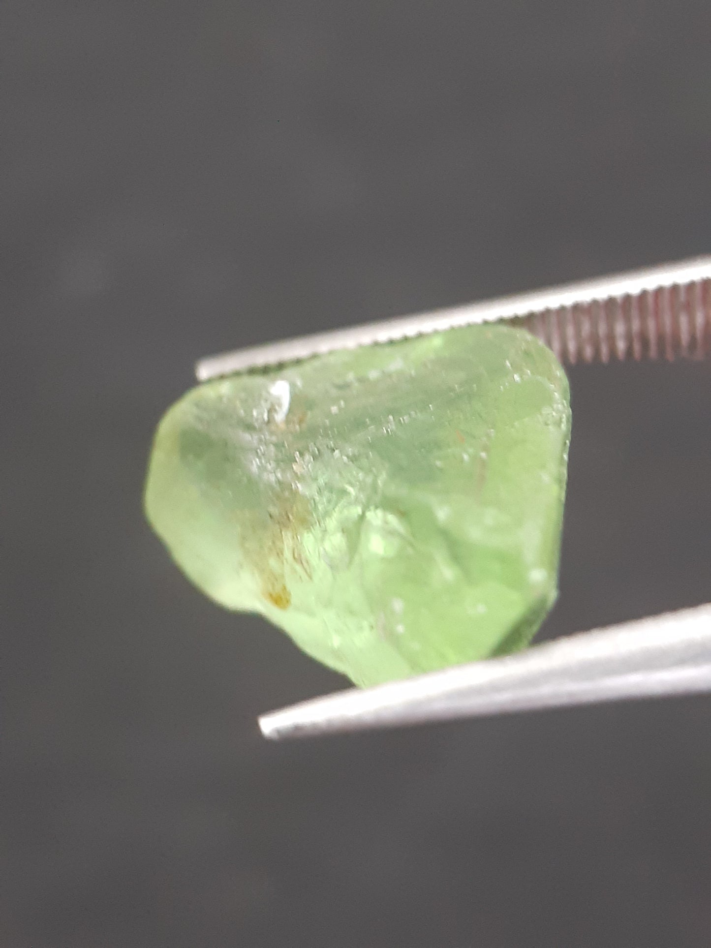 Natural Green Peridot - 5.754 ct - rough gemstone - for faceting - certified natural - Natural Gems Belgium