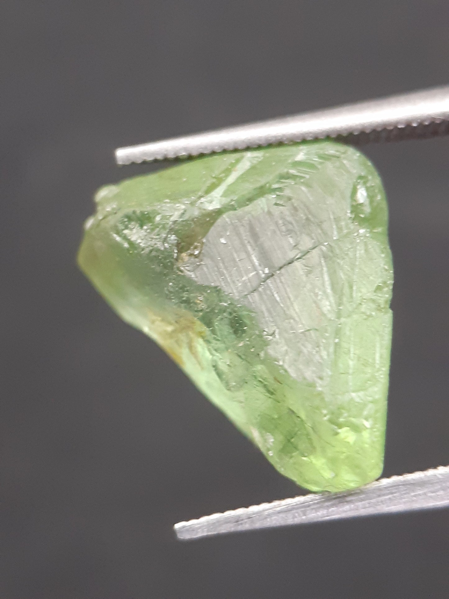 Natural Green Peridot - 5.754 ct - rough gemstone - for faceting - certified natural - Natural Gems Belgium