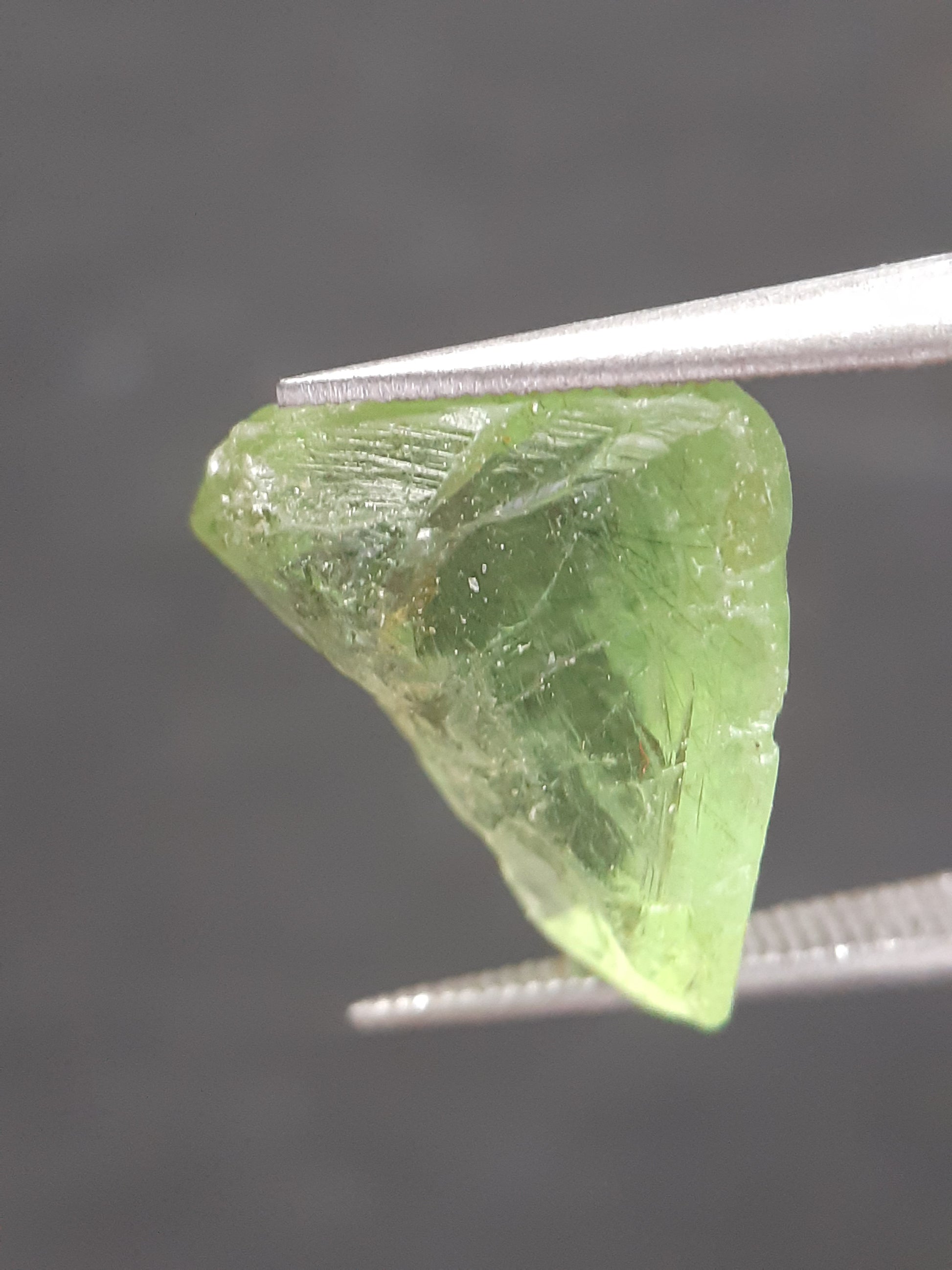 Natural Green Peridot - 5.754 ct - rough gemstone - for faceting - certified natural - Natural Gems Belgium