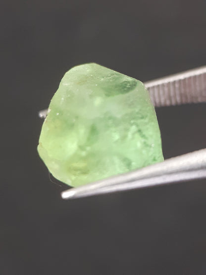 Natural Green Peridot - 5.635 ct - rough gemstone - for faceting - certified natural - Natural Gems Belgium