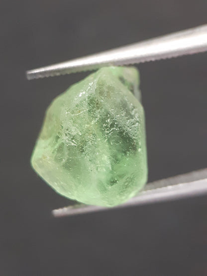 Natural Green Peridot - 5.635 ct - rough gemstone - for faceting - certified natural - Natural Gems Belgium