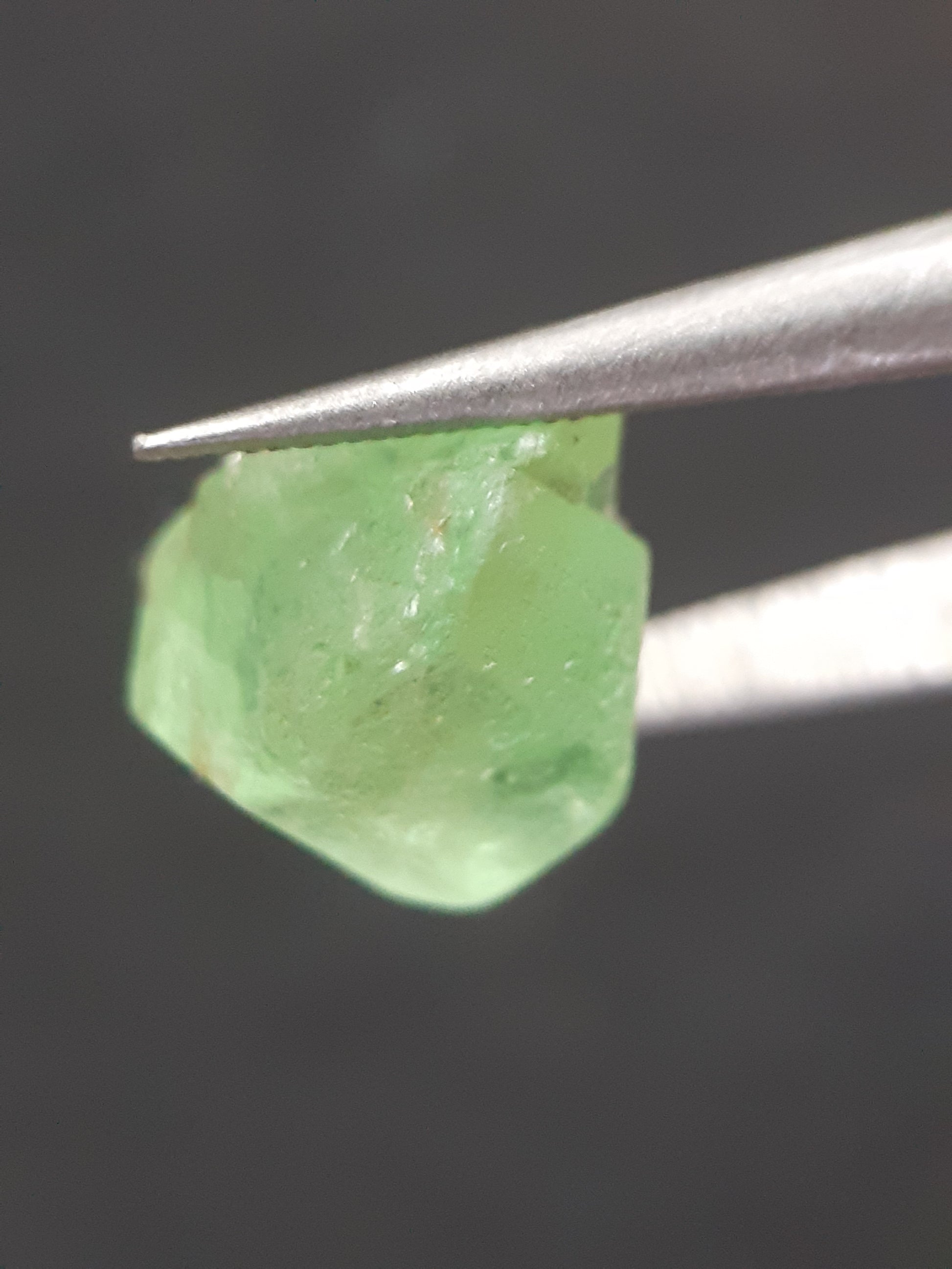 Natural Green Peridot - 5.635 ct - rough gemstone - for faceting - certified natural - Natural Gems Belgium