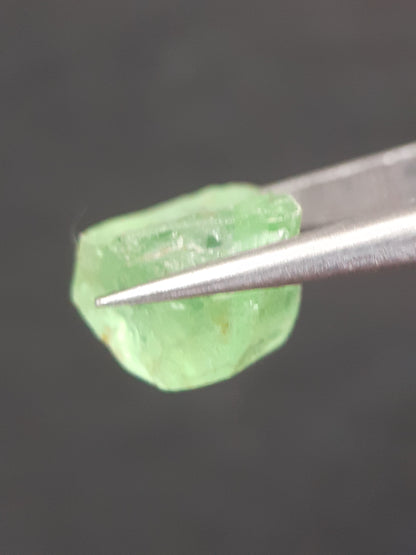 Natural Green Peridot - 5.635 ct - rough gemstone - for faceting - certified natural - Natural Gems Belgium