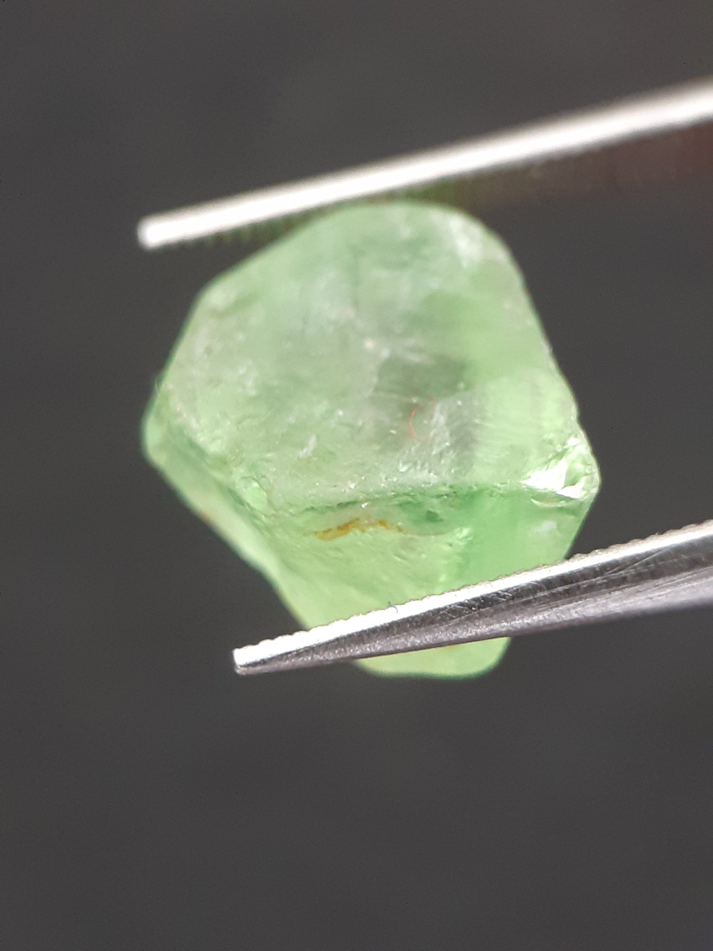 Natural Green Peridot - 5.635 ct - rough gemstone - for faceting - certified natural - Natural Gems Belgium