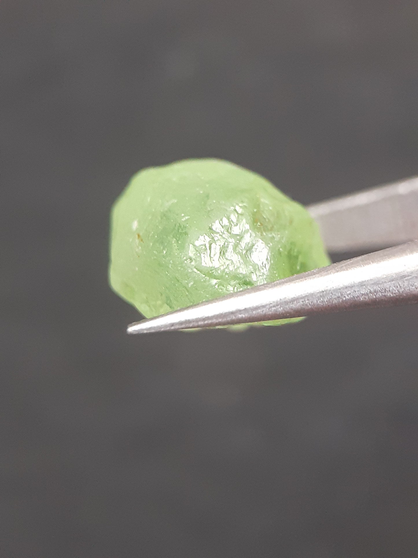 Natural Green Peridot - 6.333 ct - rough gemstone - for faceting - certified natural - Natural Gems Belgium