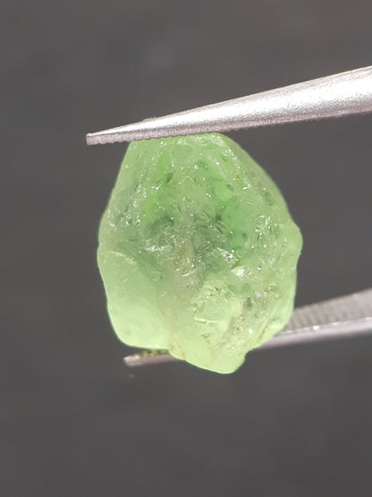 Natural Green Peridot - 6.333 ct - rough gemstone - for faceting - certified natural - Natural Gems Belgium