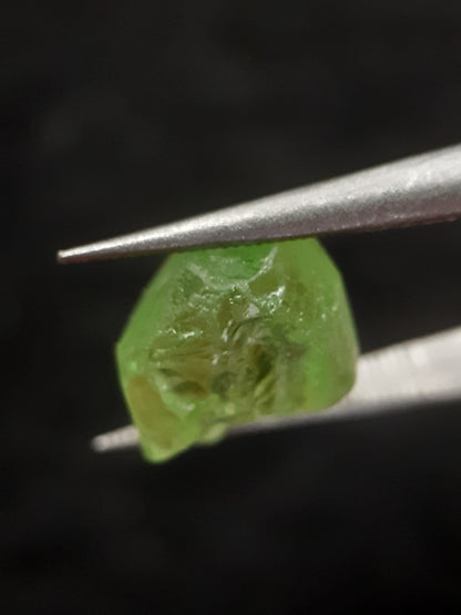 Natural Green Peridot - 5.440 ct - rough gemstone - for faceting - certified natural - Natural Gems Belgium