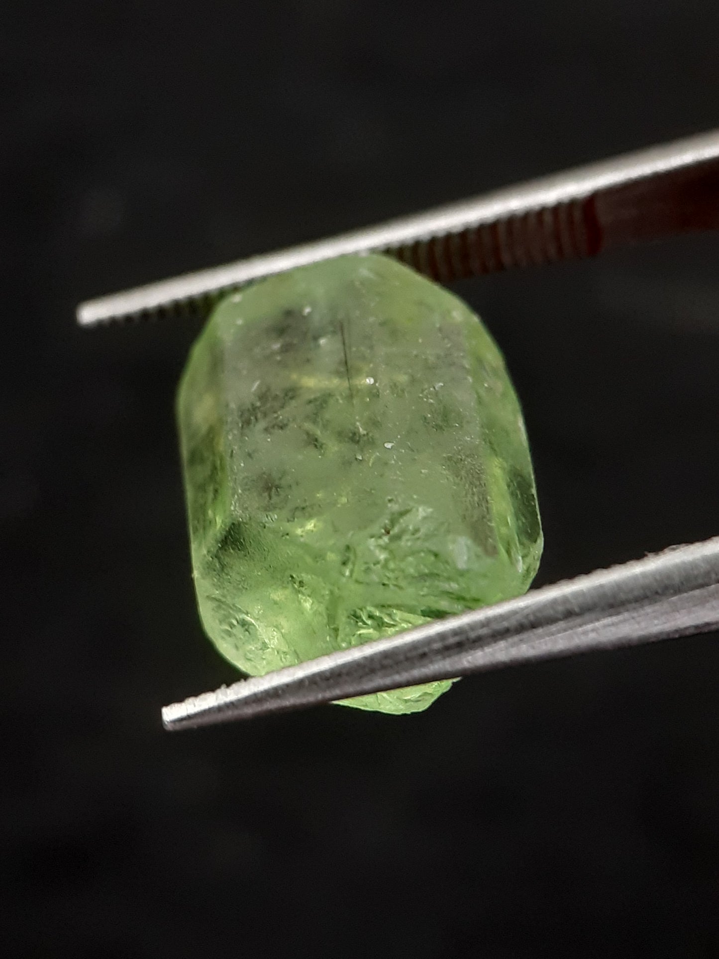 Natural Green Peridot - 5.440 ct - rough gemstone - for faceting - certified natural - Natural Gems Belgium