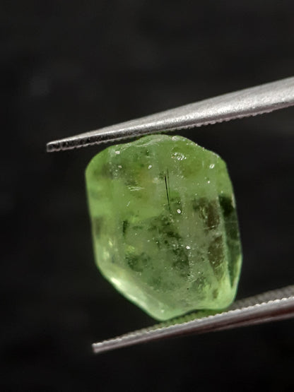 Natural Green Peridot - 5.440 ct - rough gemstone - for faceting - certified natural - Natural Gems Belgium