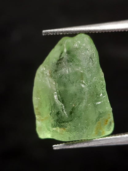 Natural Green Peridot - 7.083 ct - rough gemstone - for faceting - certified natural - Natural Gems Belgium