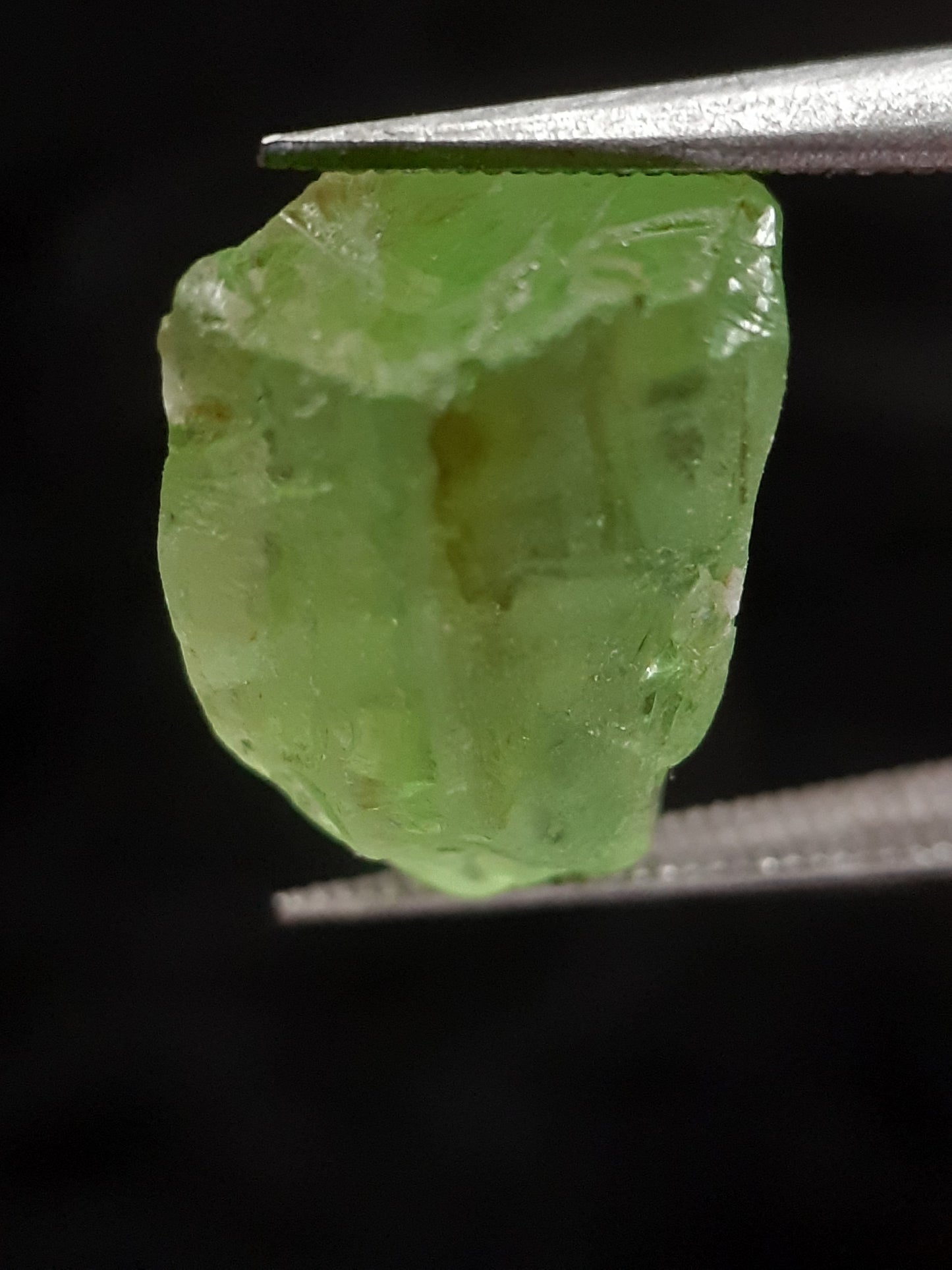 Natural Green Peridot - 7.083 ct - rough gemstone - for faceting - certified natural - Natural Gems Belgium