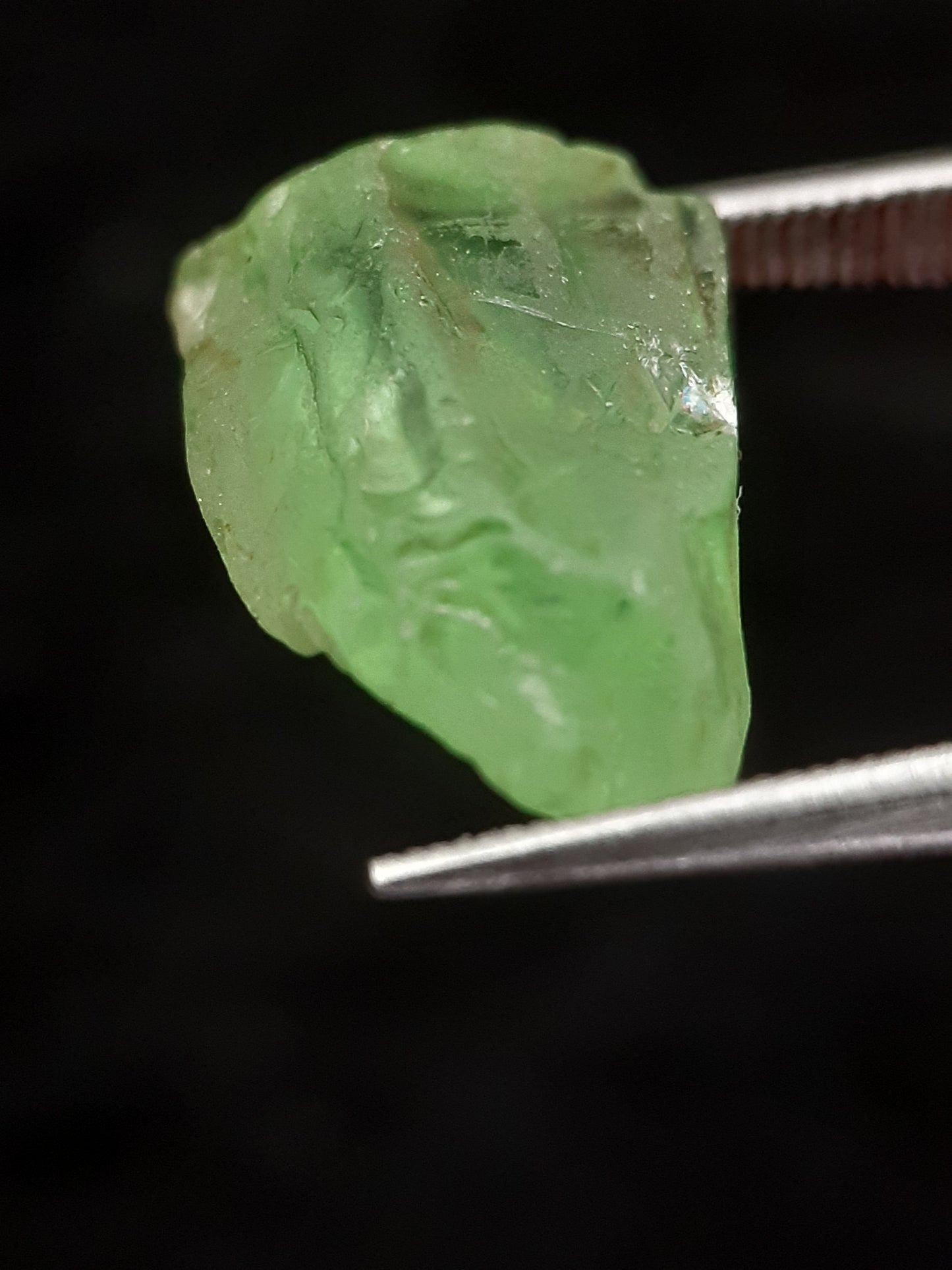 Natural Green Peridot - 7.083 ct - rough gemstone - for faceting - certified natural - Natural Gems Belgium