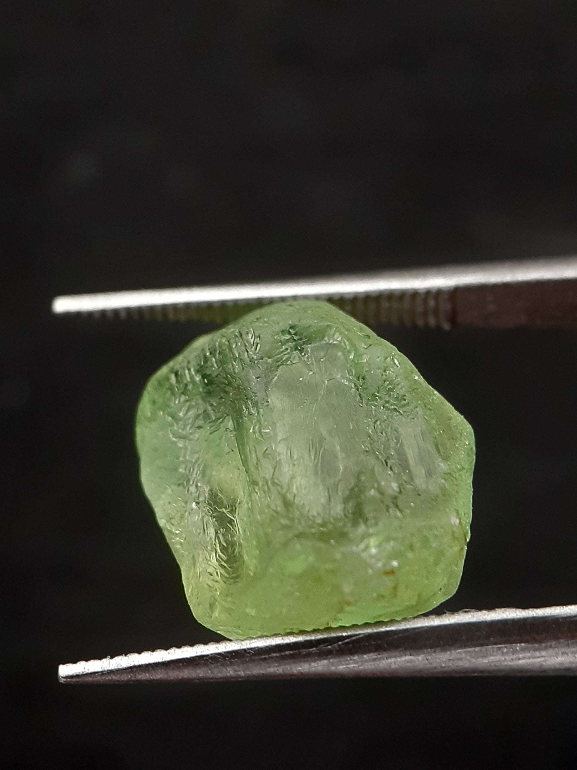 Natural Green Peridot - 7.455 ct - rough gemstone - for faceting - certified natural - Natural Gems Belgium