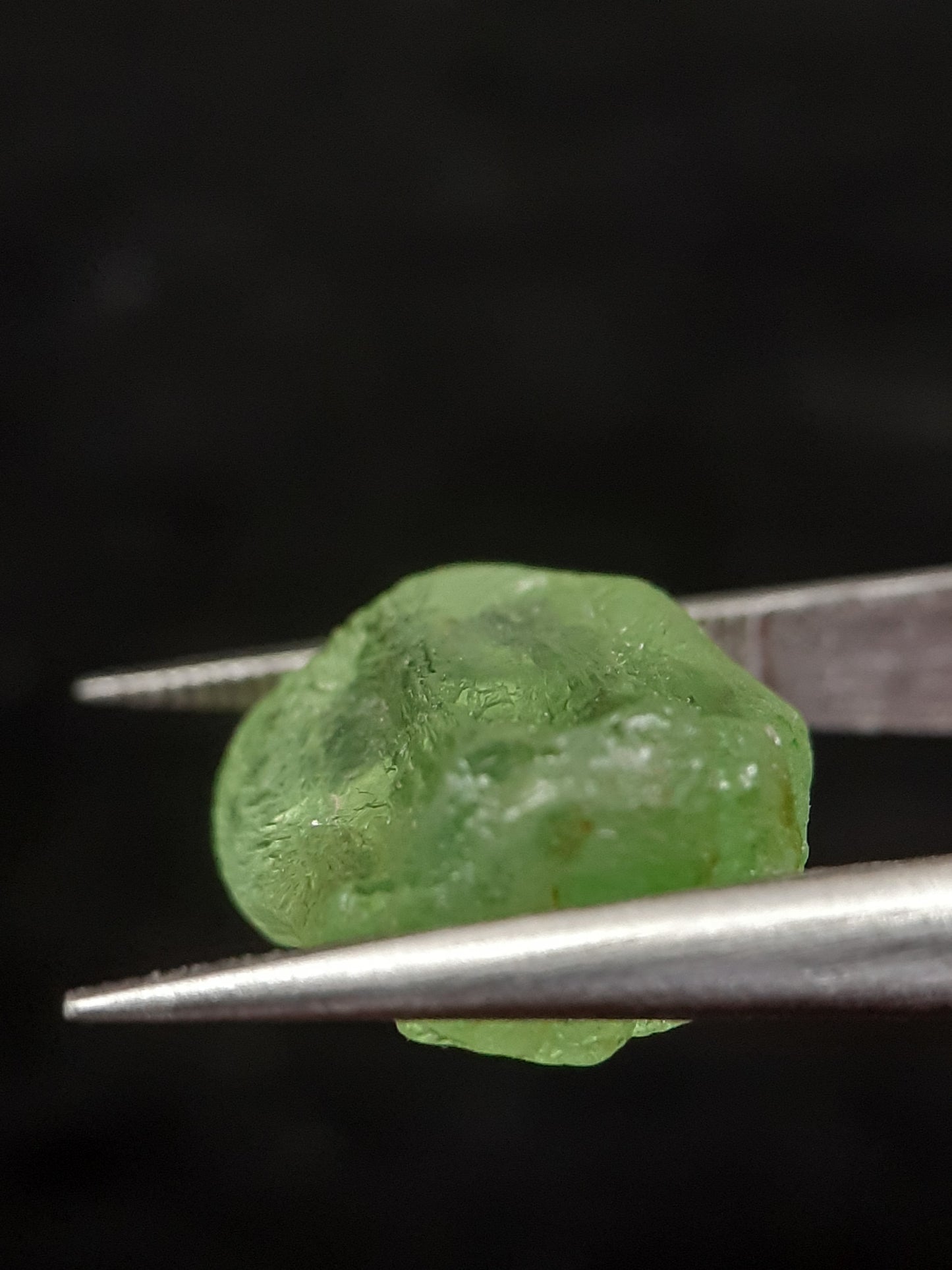 Natural Green Peridot - 7.455 ct - rough gemstone - for faceting - certified natural - Natural Gems Belgium