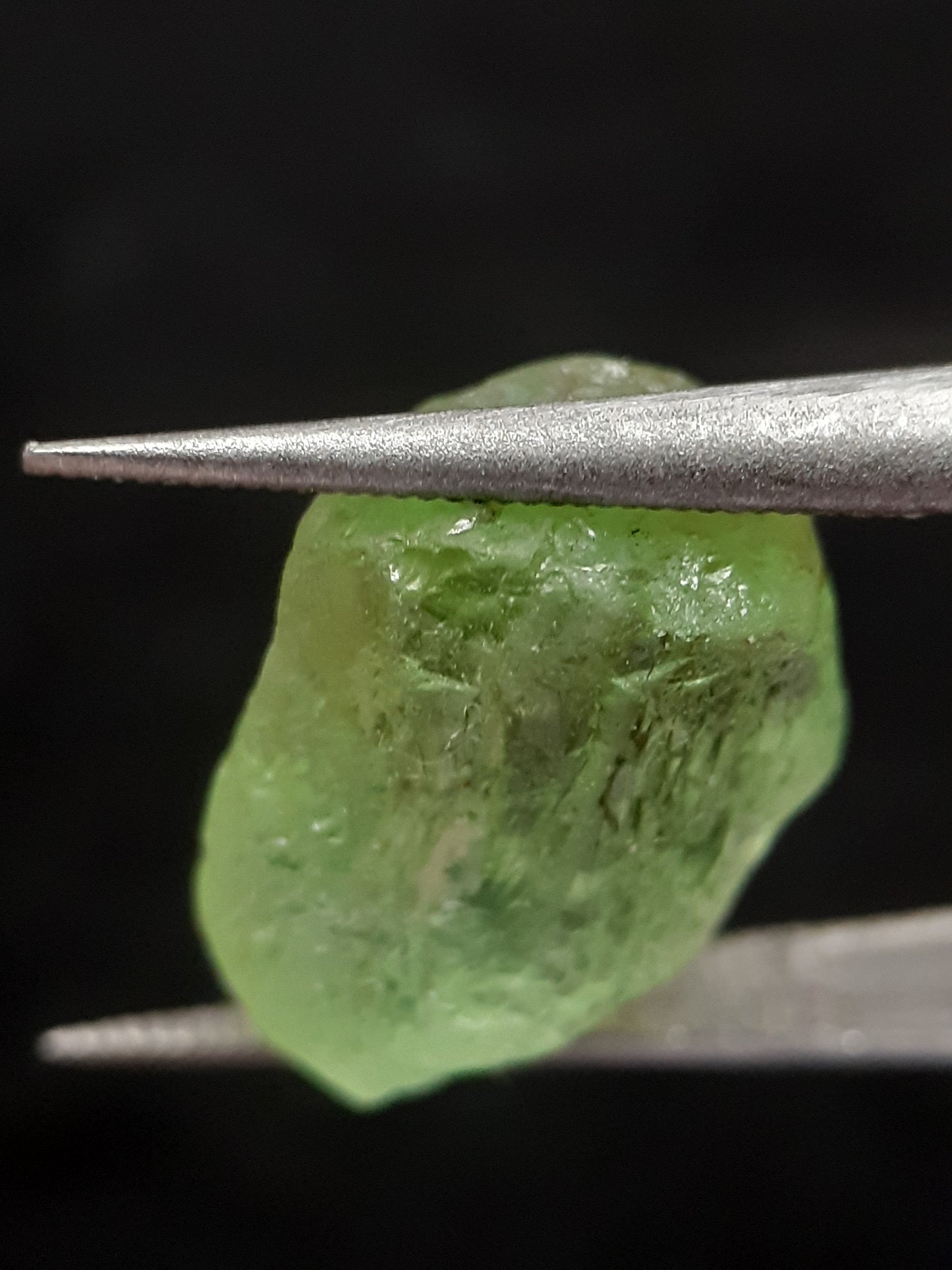 Natural Green Peridot - 7.455 ct - rough gemstone - for faceting - certified natural - Natural Gems Belgium