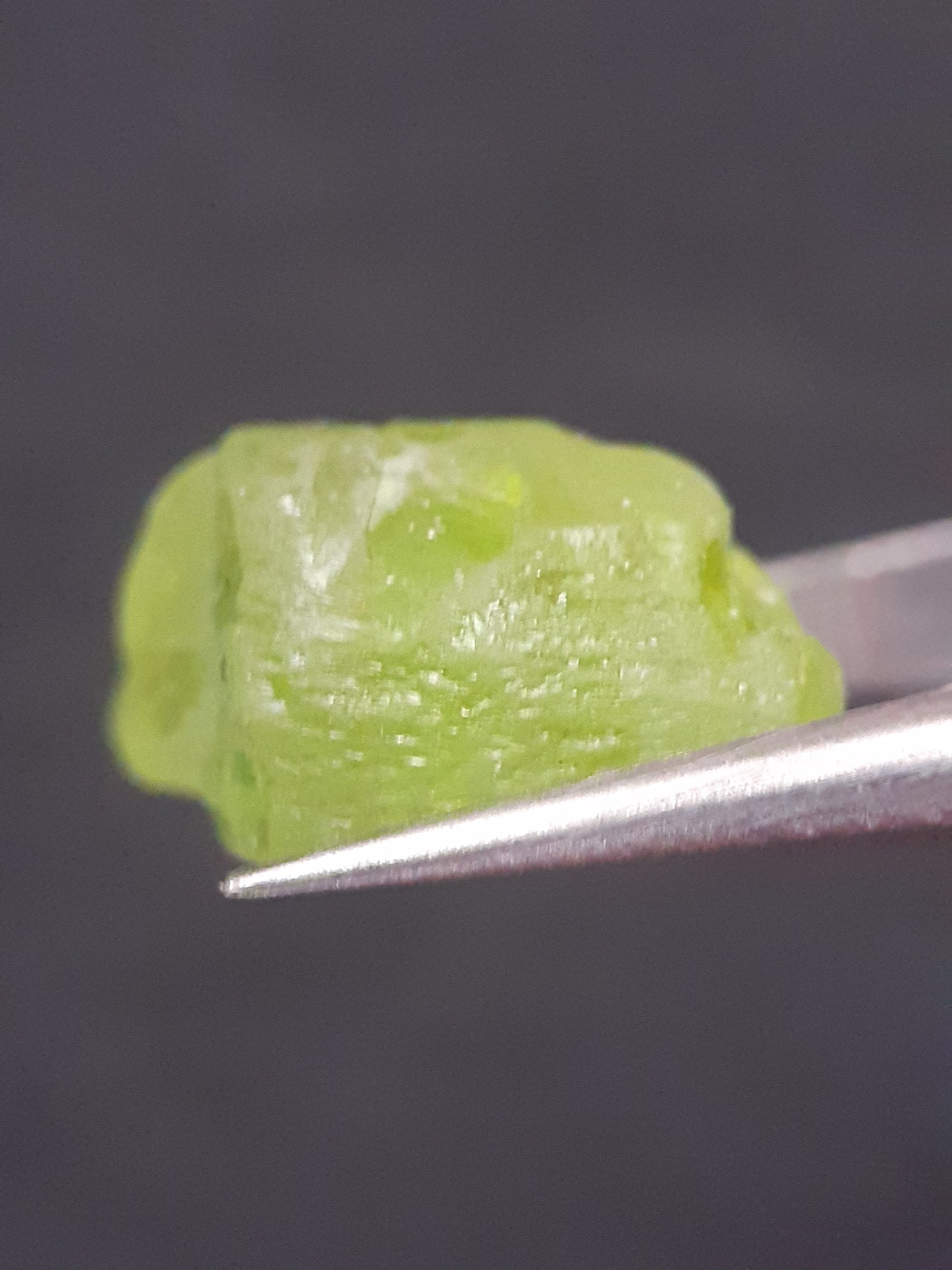 Natural Green Peridot - 10.005 ct - rough gemstone - for faceting - certified natural - Natural Gems Belgium