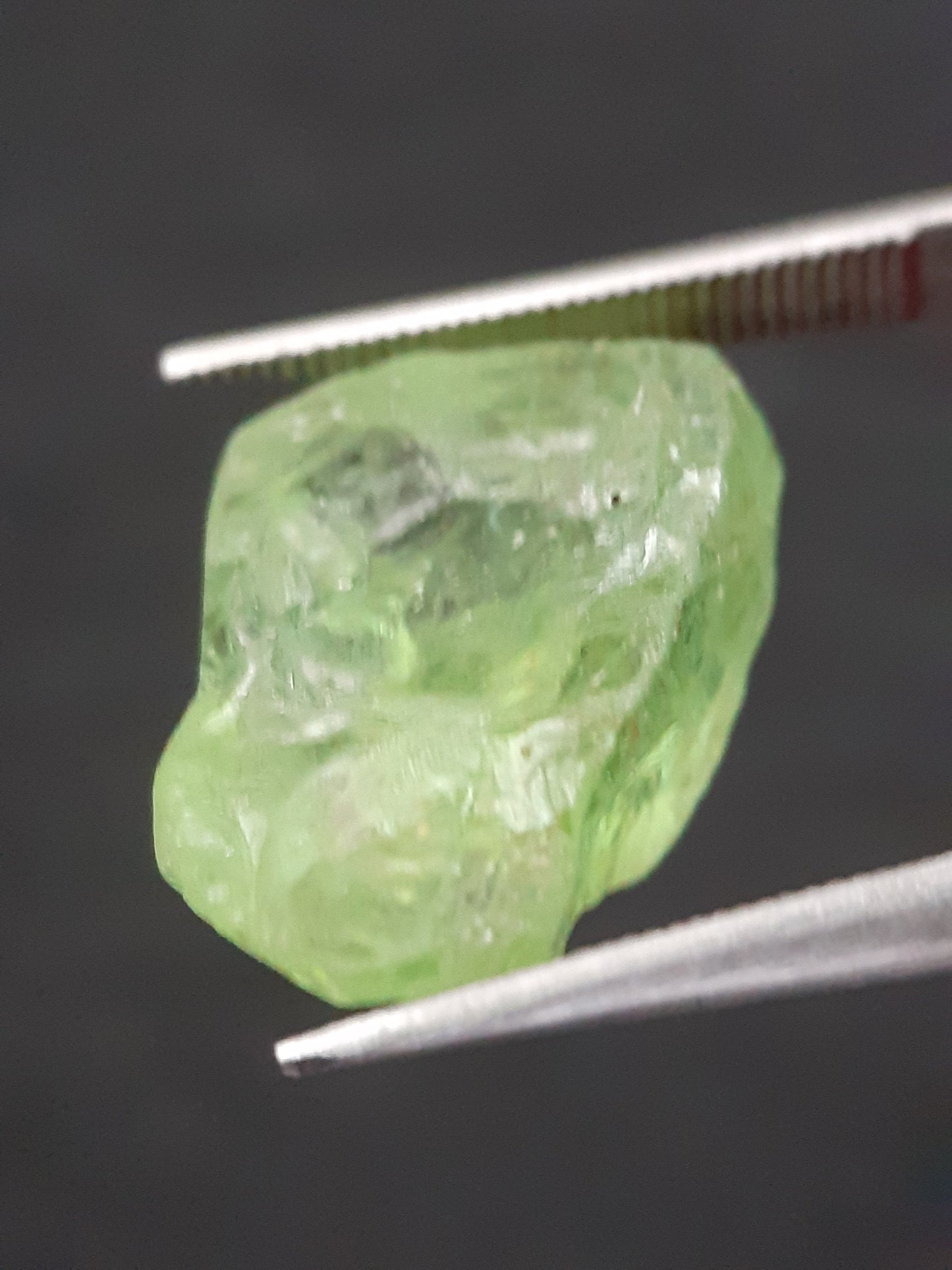 Natural Green Peridot - 10.005 ct - rough gemstone - for faceting - certified natural - Natural Gems Belgium