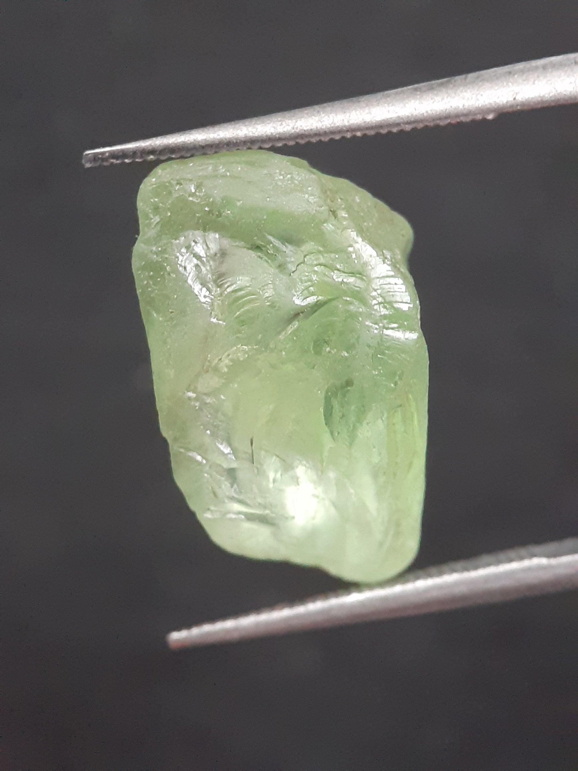 Natural Green Peridot - 9.014 ct - rough gemstone - for faceting - certified natural - Natural Gems Belgium