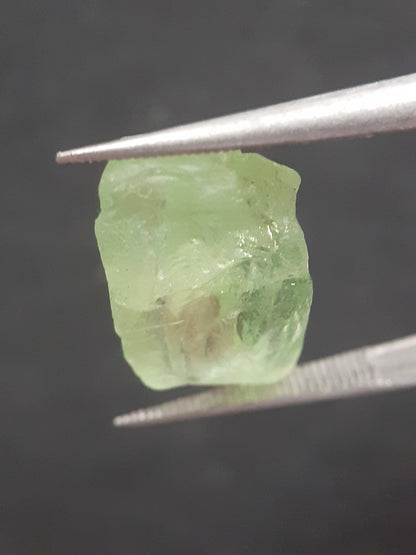 Natural Green Peridot - 9.014 ct - rough gemstone - for faceting - certified natural - Natural Gems Belgium