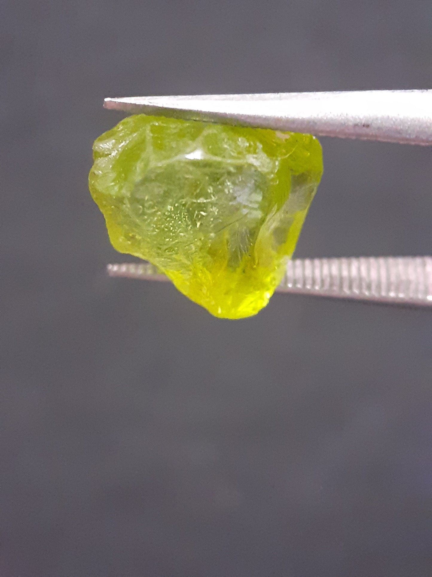 Natural Green Peridot - 3.949 ct - rough gemstone - for faceting - certified natural - Natural Gems Belgium