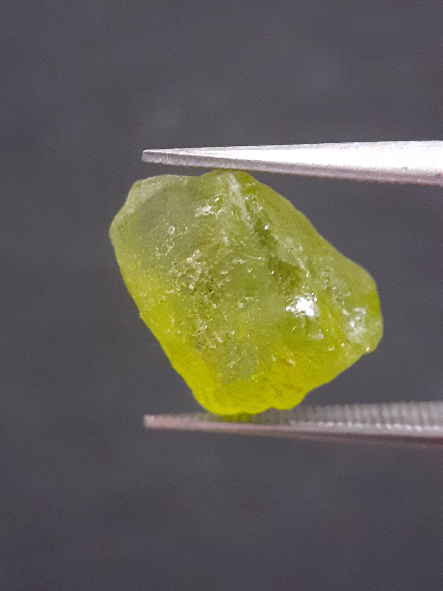 Natural Green Peridot - 5.315 ct - rough gemstone - for faceting - certified natural - Natural Gems Belgium