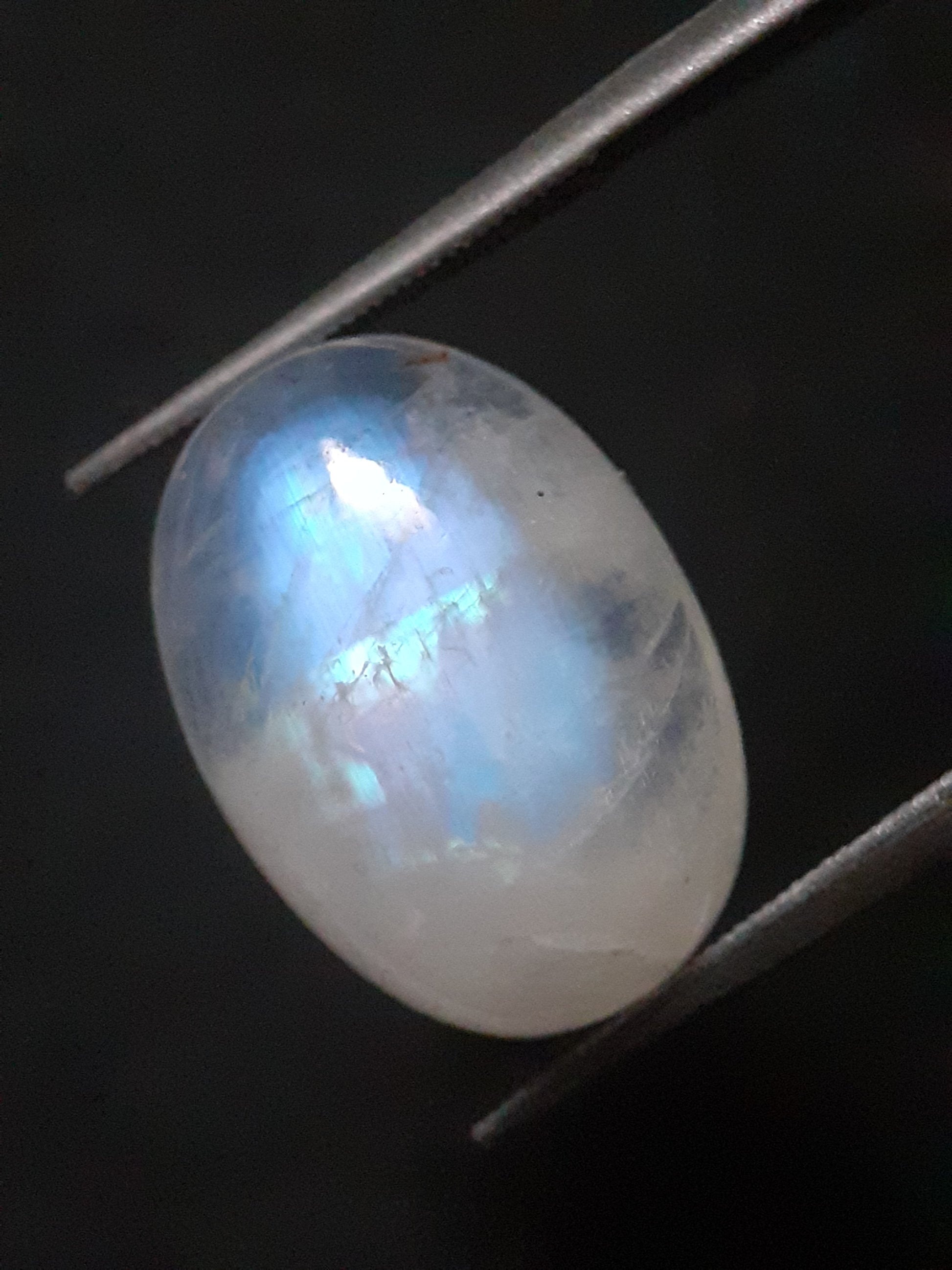 Natural Moonstone - blue adularescence - 8.870 ct - oval - certified natural - Natural Gems Belgium