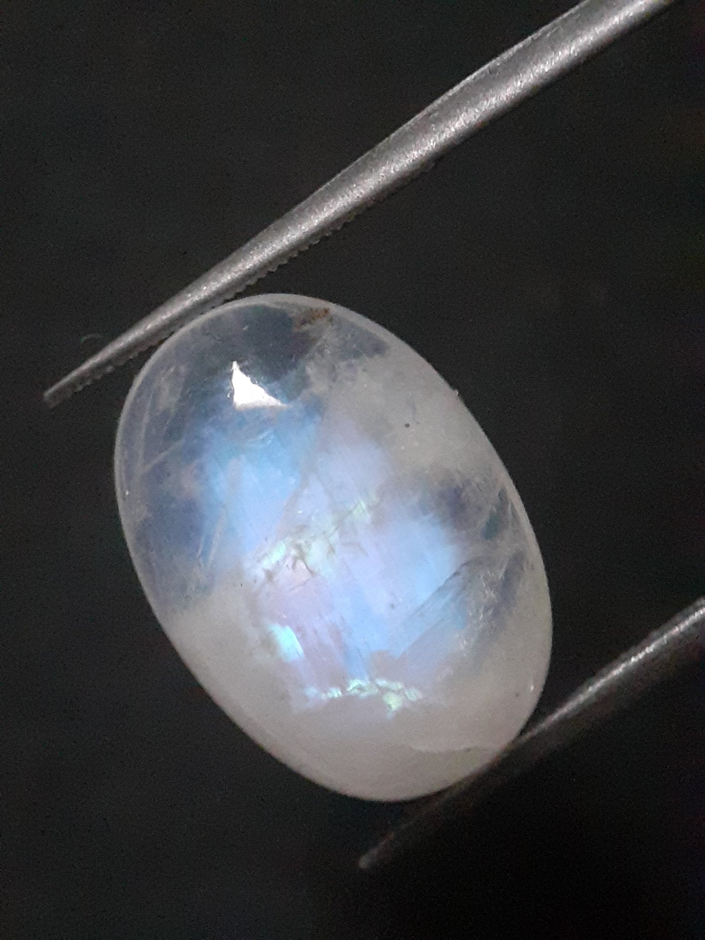 Natural Moonstone - blue adularescence - 8.870 ct - oval - certified natural - Natural Gems Belgium