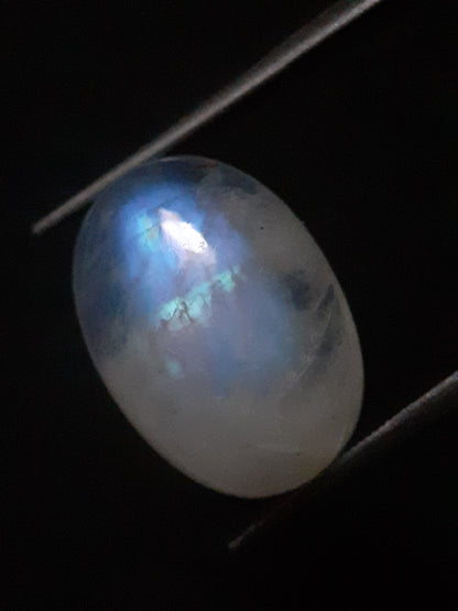 Natural Moonstone - blue adularescence - 8.870 ct - oval - certified natural - Natural Gems Belgium