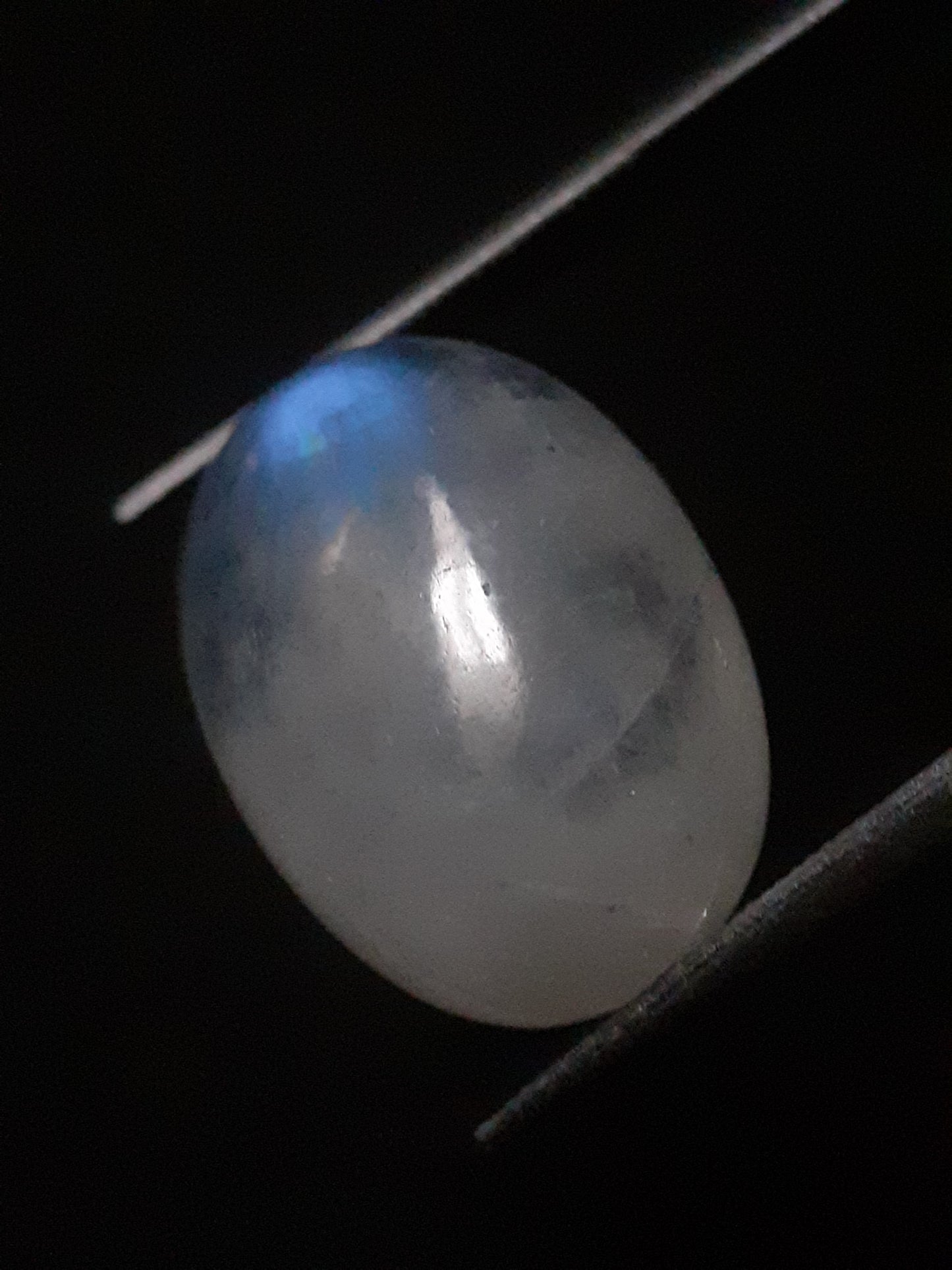 Natural Moonstone - blue adularescence - 8.870 ct - oval - certified natural - Natural Gems Belgium