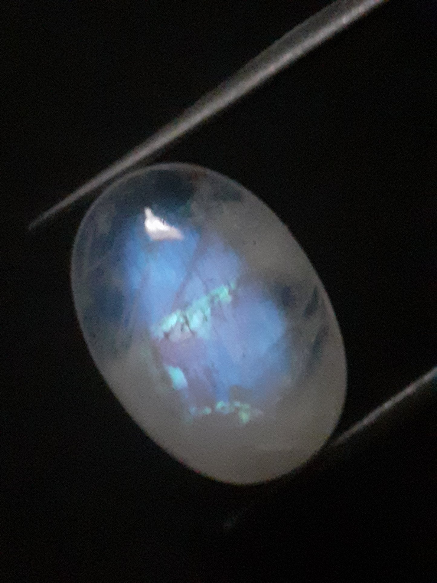 Natural Moonstone - blue adularescence - 8.870 ct - oval - certified natural - Natural Gems Belgium