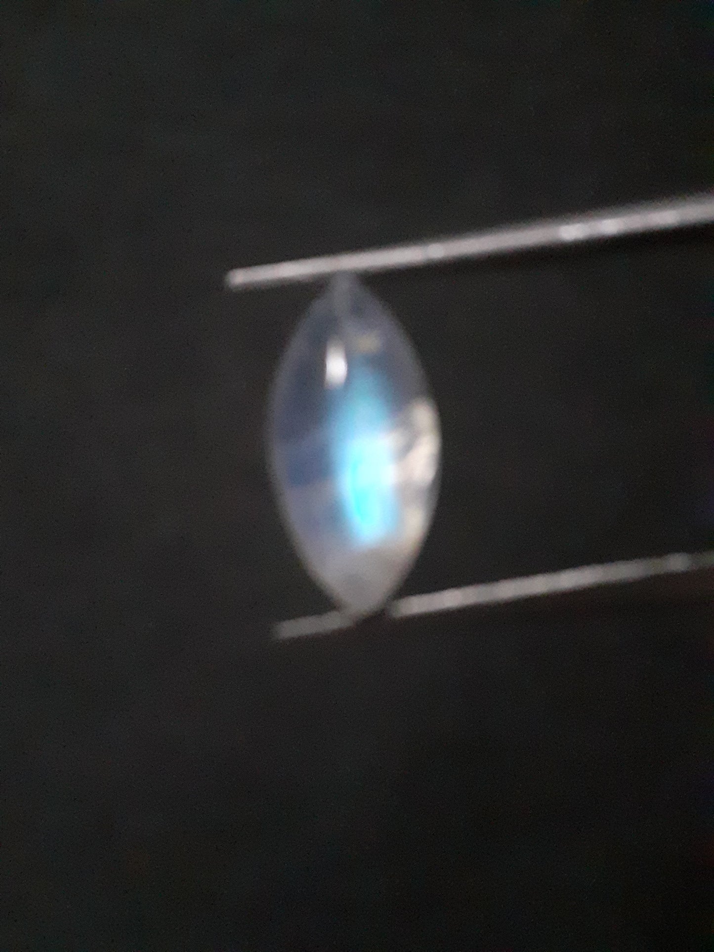 Natural Moonstone - light greenish blue adularescence - 2.203 ct - marquise - certified natural - Natural Gems Belgium