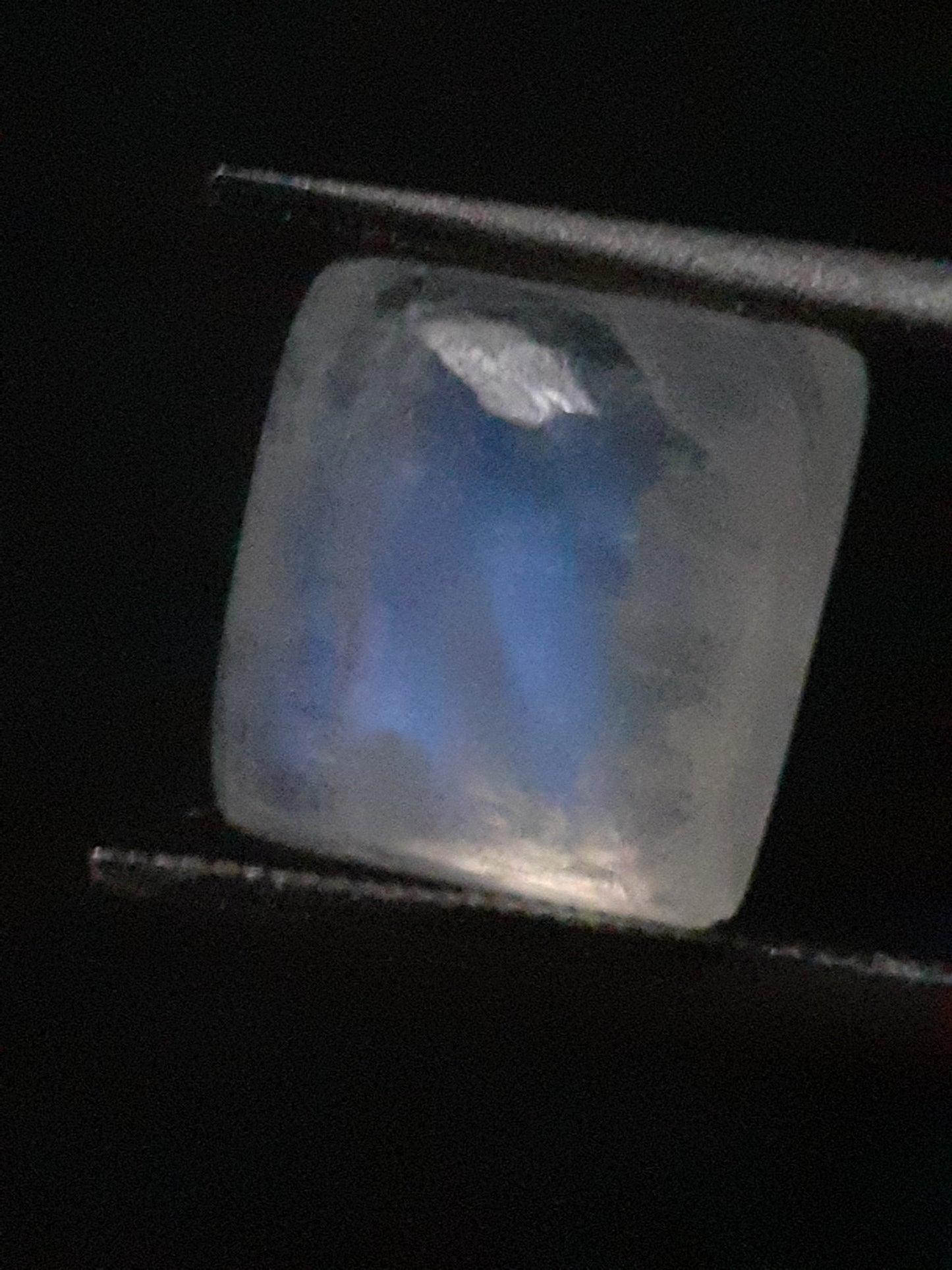 Natural Moonstone - blue adularescence - 3.379 ct - cushion - certified natural - Natural Gems Belgium