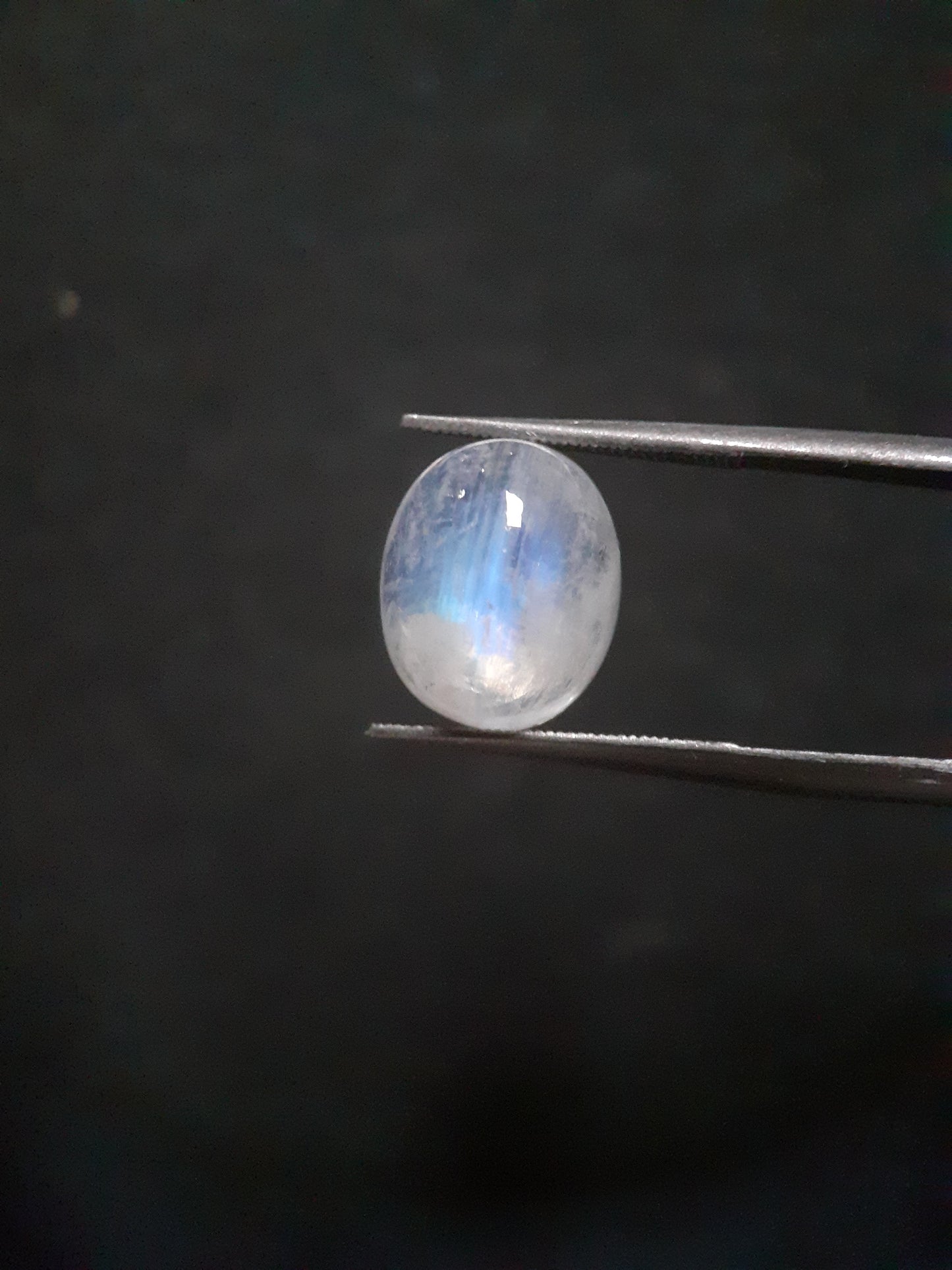 Natural Moonstone - blue adularescence - 4.210 ct - oval - certified natural - Natural Gems Belgium