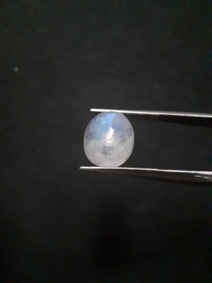 Natural Moonstone - blue adularescence - 4.210 ct - oval - certified natural - Natural Gems Belgium