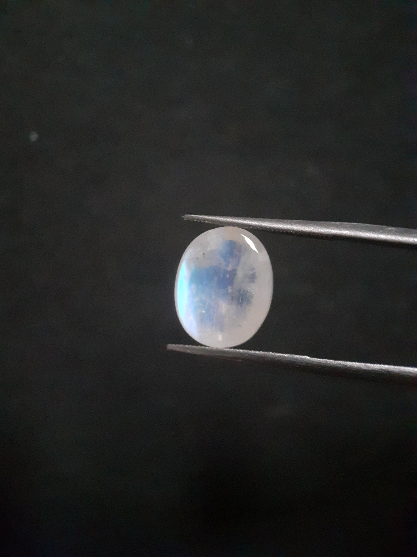 Natural Moonstone - blue adularescence - 4.210 ct - oval - certified natural - Natural Gems Belgium