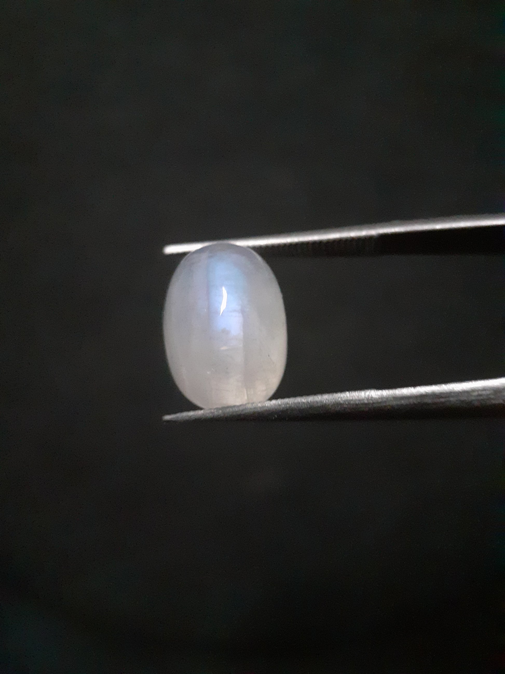 Natural Moonstone - blue adularescence - 4.445 ct - oval - certified natural - Natural Gems Belgium