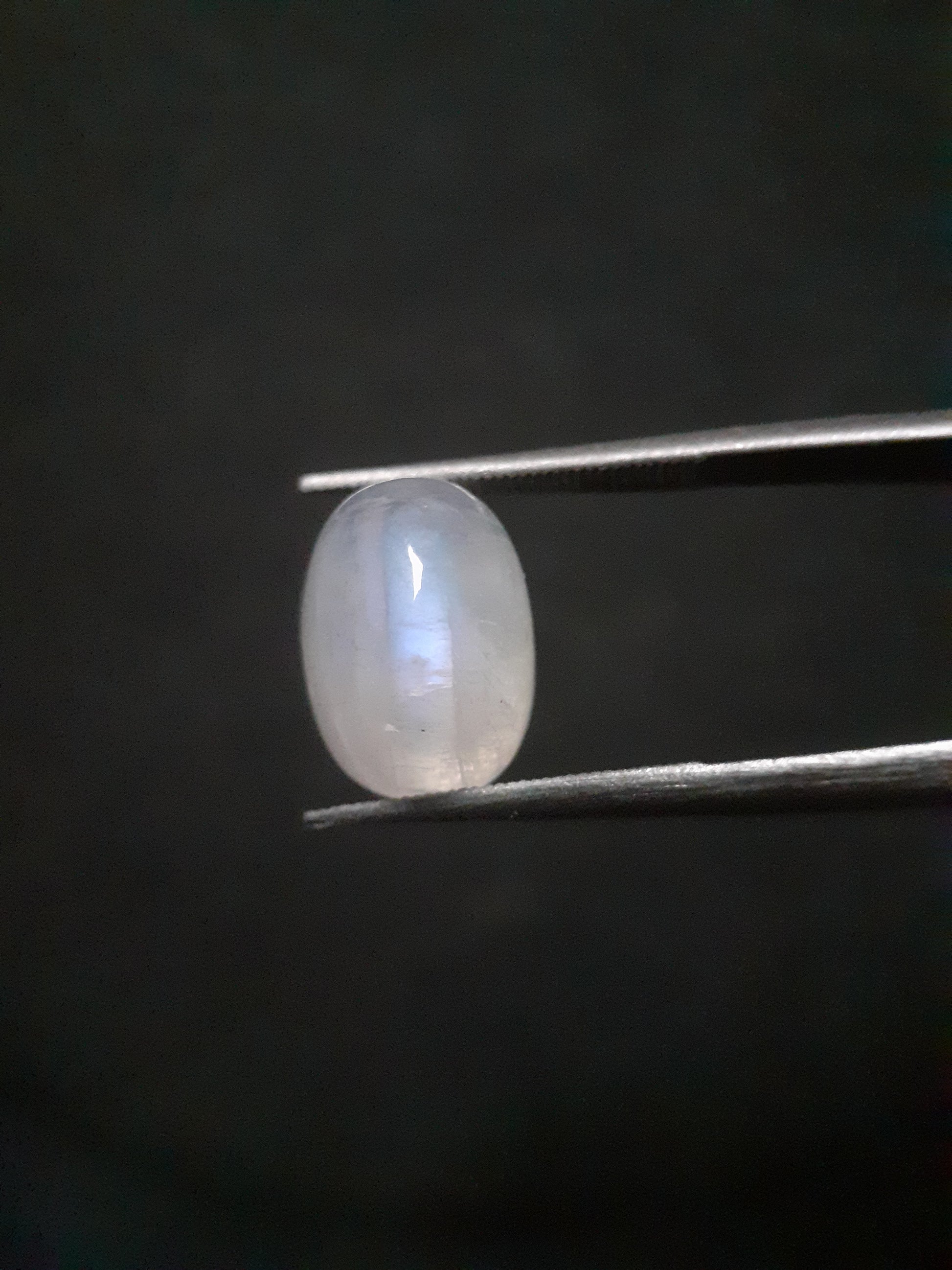 Natural Moonstone - blue adularescence - 4.445 ct - oval - certified natural - Natural Gems Belgium