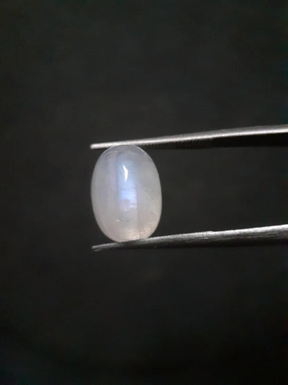 Natural Moonstone - blue adularescence - 4.445 ct - oval - certified natural - Natural Gems Belgium