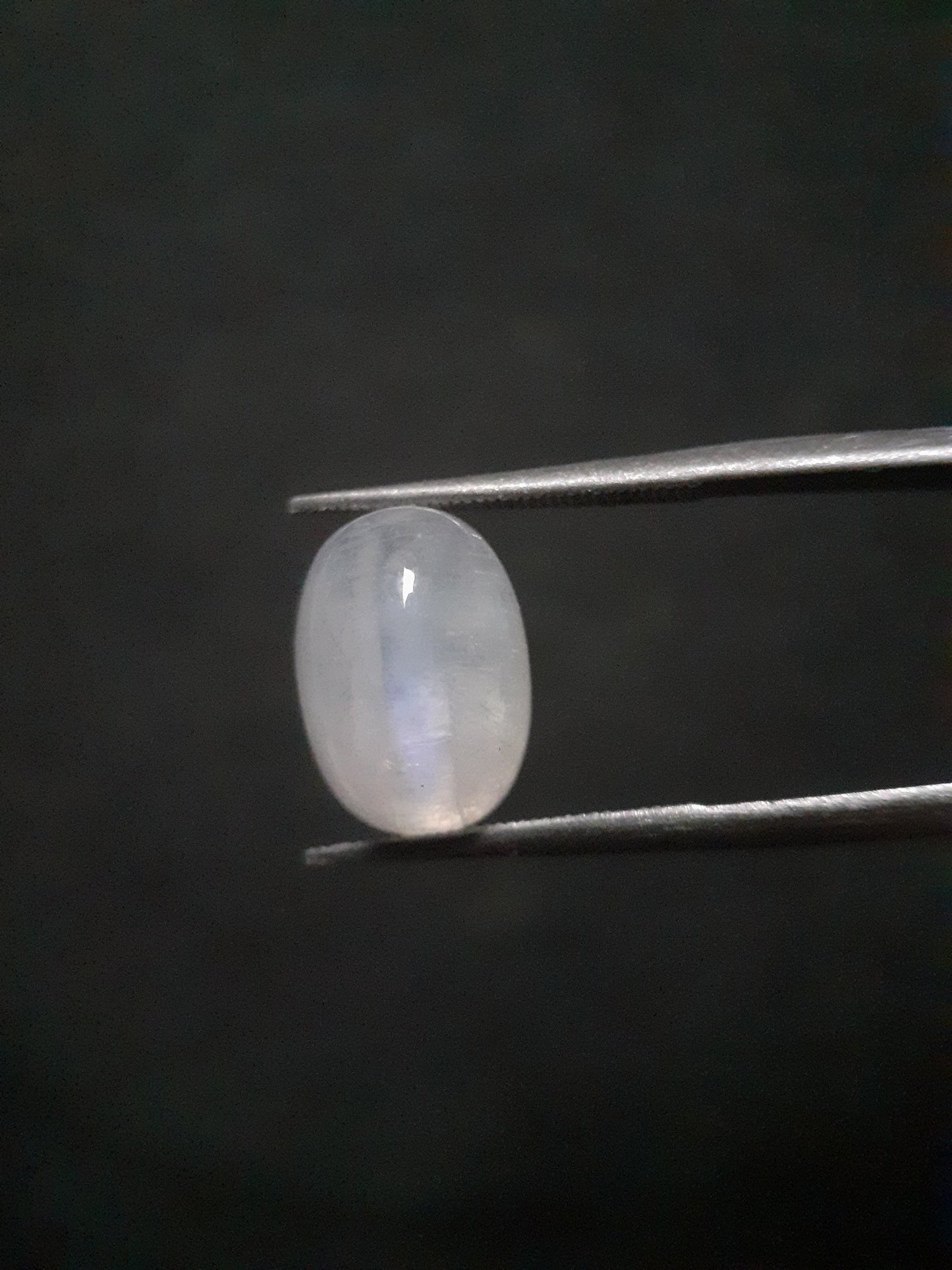 Natural Moonstone - blue adularescence - 4.445 ct - oval - certified natural - Natural Gems Belgium