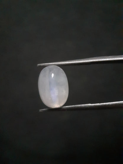 Natural Moonstone - blue adularescence - 4.445 ct - oval - certified natural - Natural Gems Belgium