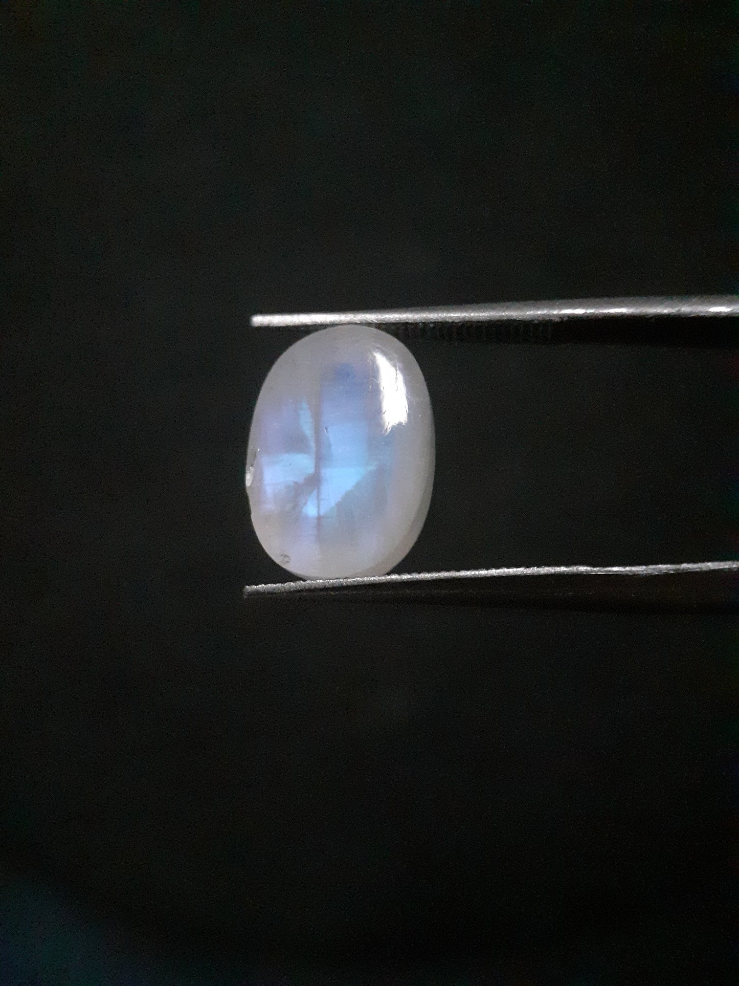 Natural Moonstone - blue adularescence - 4.445 ct - oval - certified natural - Natural Gems Belgium