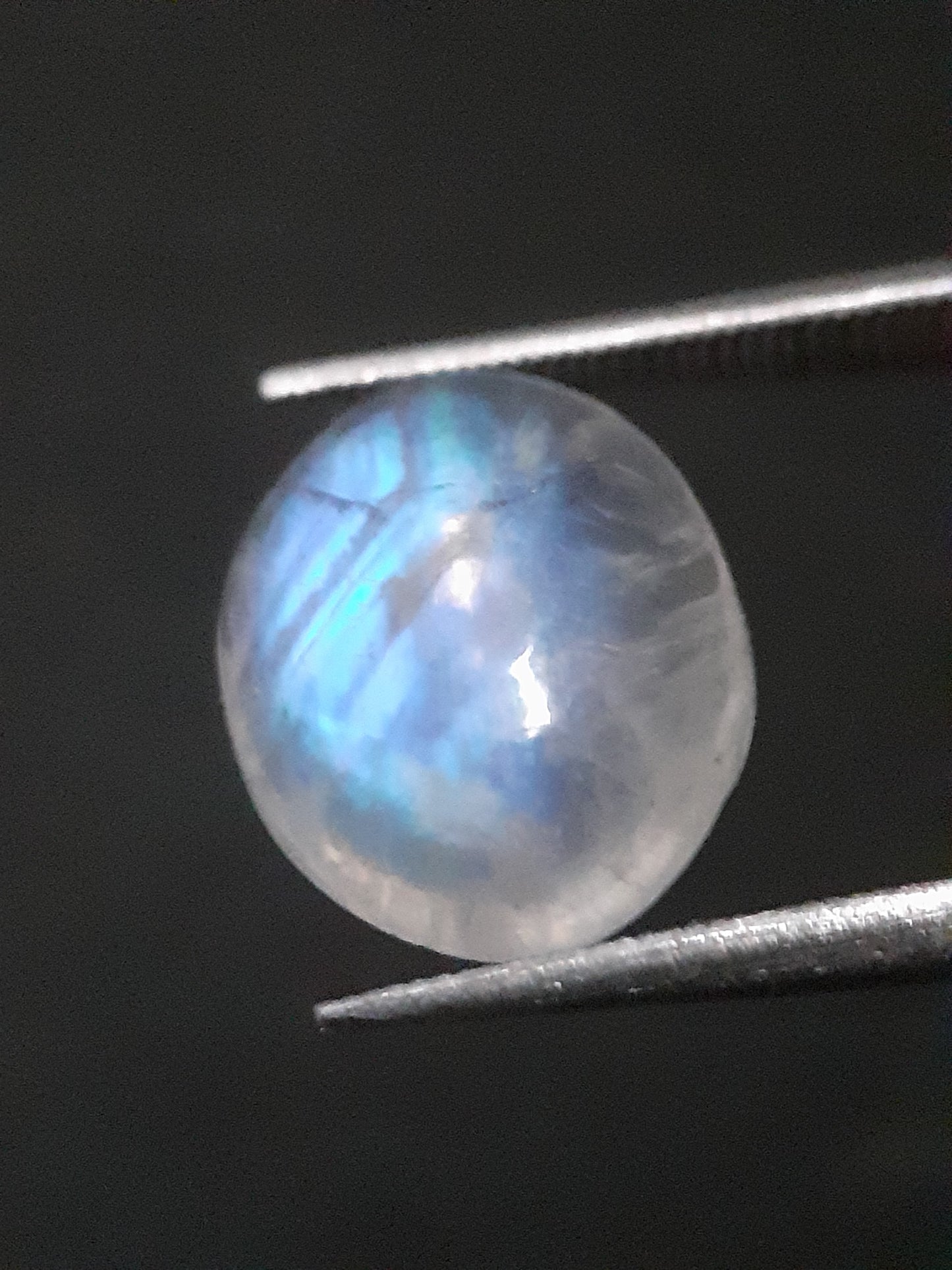 Natural Moonstone - blue adularescence - 2.945 ct - oval - certified natural - Natural Gems Belgium