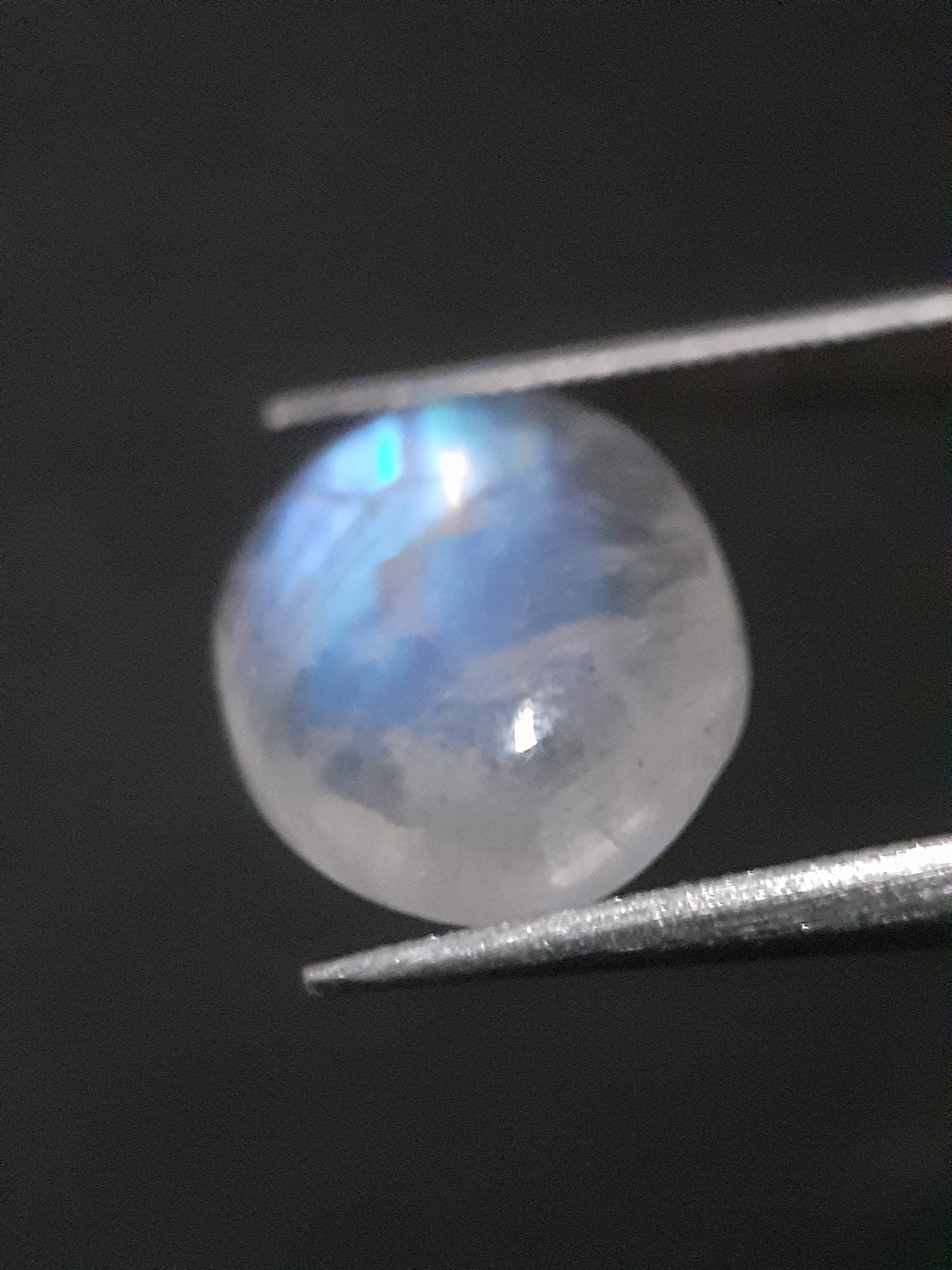 Natural Moonstone - blue adularescence - 2.945 ct - oval - certified natural - Natural Gems Belgium