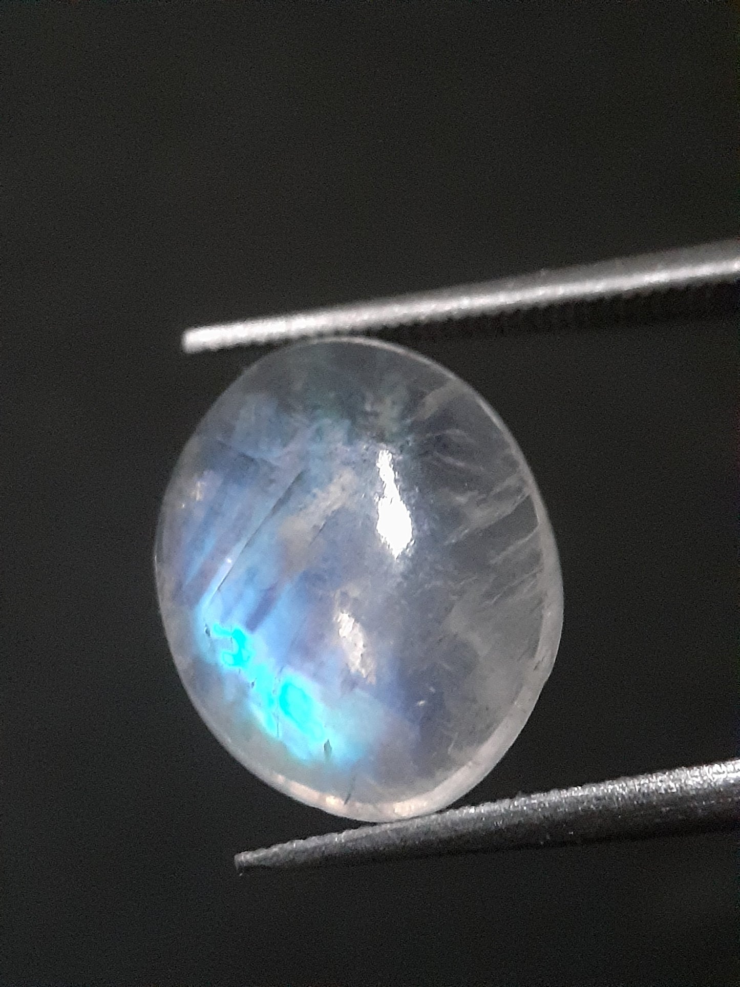 Natural Moonstone - blue adularescence - 2.945 ct - oval - certified natural - Natural Gems Belgium