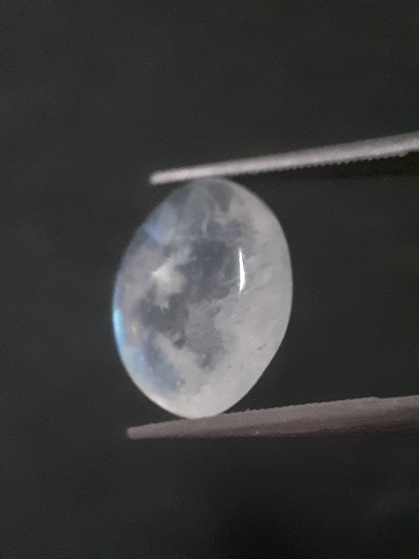 Natural Moonstone - blue adularescence - 2.945 ct - oval - certified natural - Natural Gems Belgium